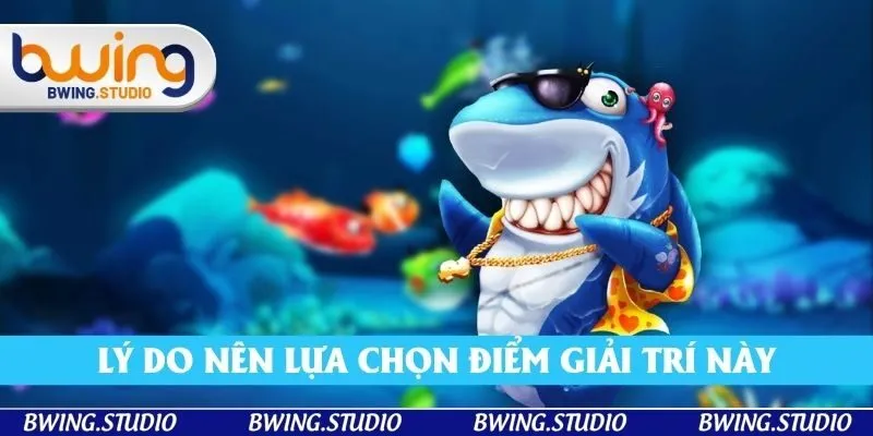 Lý do nên lựa chọn điểm giải trí này