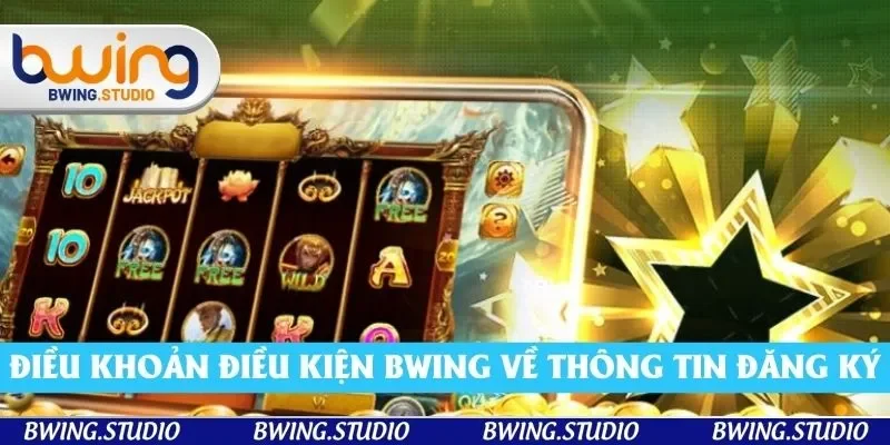 Sơ lược điều khoản điều kiện Bwing về thông tin mở tài khoản