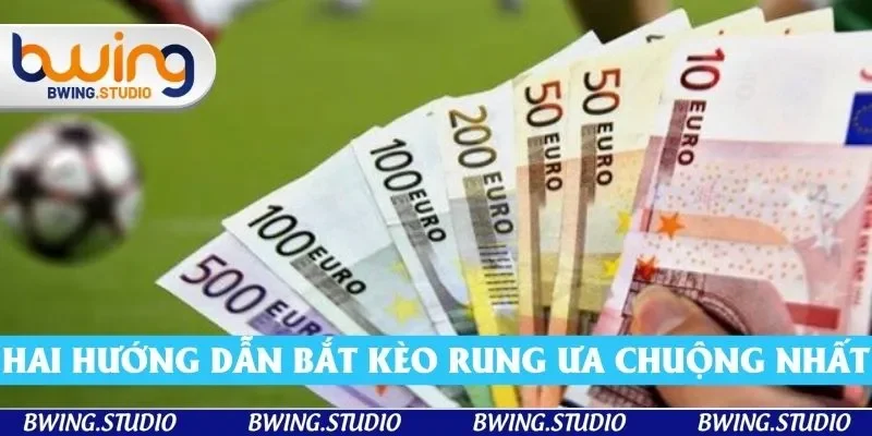 Hai hướng dẫn bắt kèo rung ưa chuộng nhất