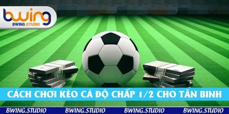 Các cách chơi kèo cá độ chấp 1/2 cho tân binh