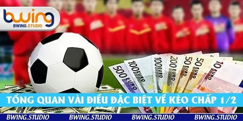 Tổng quan vài điều đặc biệt về kèo chấp 1/2